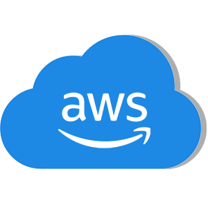 aws 300