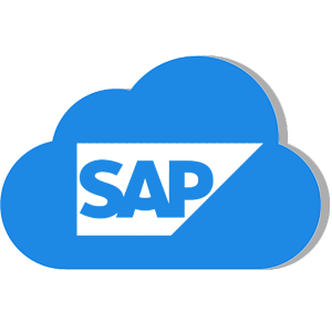 sap 300